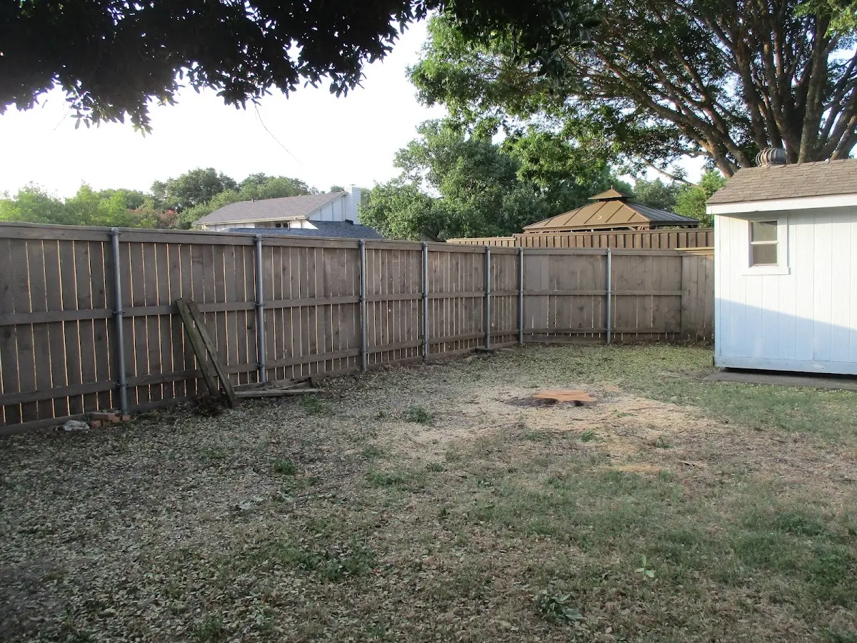 Cleared yard after professional tree removal in Warm Springs